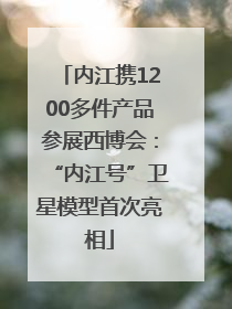 内江携1200多件产品参展西博会：“内江号”卫星模型首次亮相
